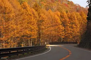 开云网页版-C?	驒q缑b-b?軿蚗9(粖骞村鏆戞槸鍑狅拷019锟藉嚑aa86)